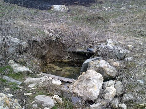 Родник