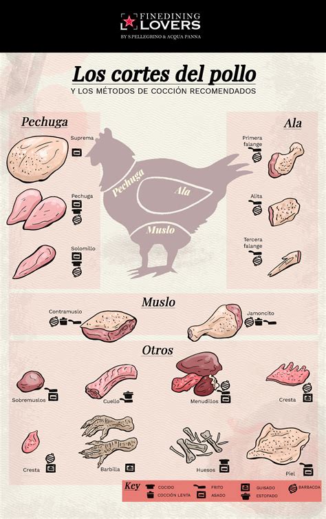 Introducir Imagen Partes De Un Pollo Abzlocal Mx