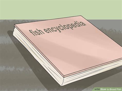 How To Breed Fish Steps With Pictures Wikihow