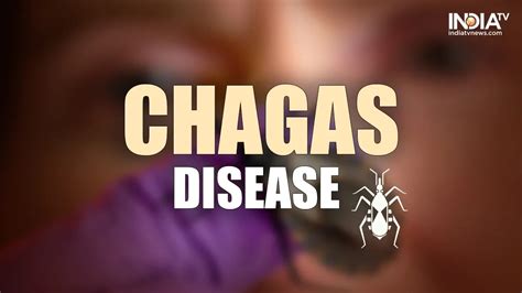 Chagas Disease Know Causes Symptoms And All About Infection Caused By Kissing Bugs India Tv