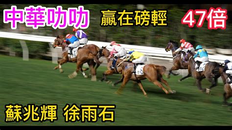 中華叻叻g054蘇兆輝 徐雨石 快活谷賽馬凱旋門頭馬相現場版 2023 05 03 第5場修正版再發 Youtube