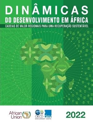 Din Micas Do Desenvolvimento Em Frica 2022 Cadeias De Valor Regionais