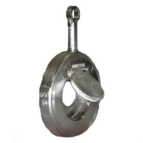 Wafer Swing Check Valves At Rs Piece Check Valves In Mumbai Id