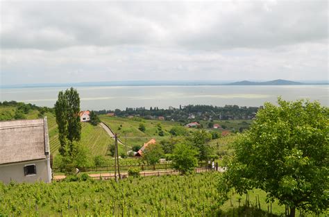 Lake Balaton Tour Julia Kravianszky Private Tour Guide In Budapest