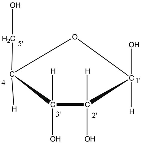 Ribose 2d Structure Of D Ribose By Chronoxphya Flickr Photo