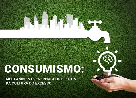 O Consumismo E Seus Impactos Ambientais Nossa Sociedade é Baseada