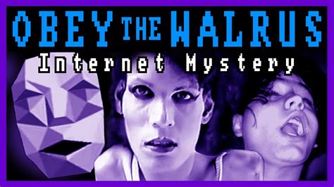 Obey The Walrus Deep Dive Internet Mystery And Drama Obedece A La