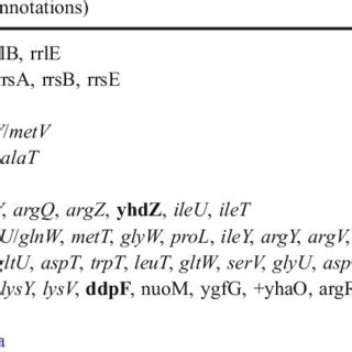 Gene regions associated with conserved sequences | Download Table 