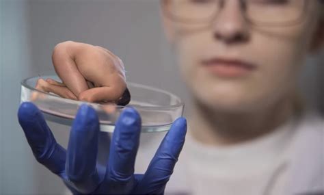 small human study  theborrowergts  deviantart