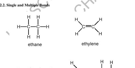 Hybridization Of Co2