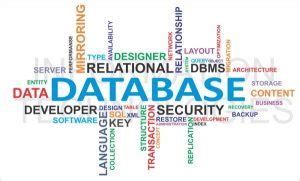 Database Relazionale Cos E Come Gestirlo Al Meglio