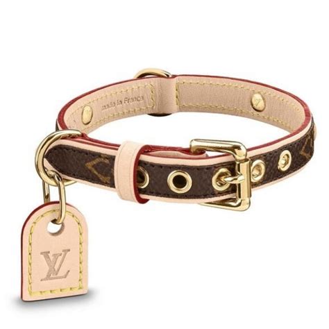 Dog Louis Vuitton Collar | semashow.com