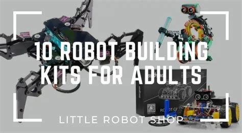 Best Programmable Robot Kits For Adults - Little Robot Shop