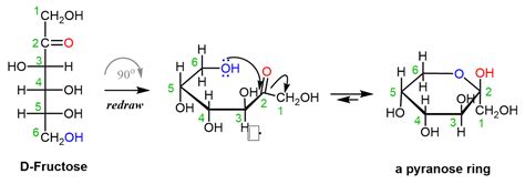 Converting Fischer, Haworth, and Chair forms of Carbohydrates ...