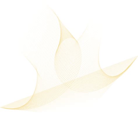 Golden Abstract Lines 35516313 Png