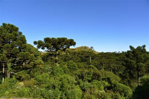 Lugares Para Conhecer Em Santa Catarina Descubra A Beleza