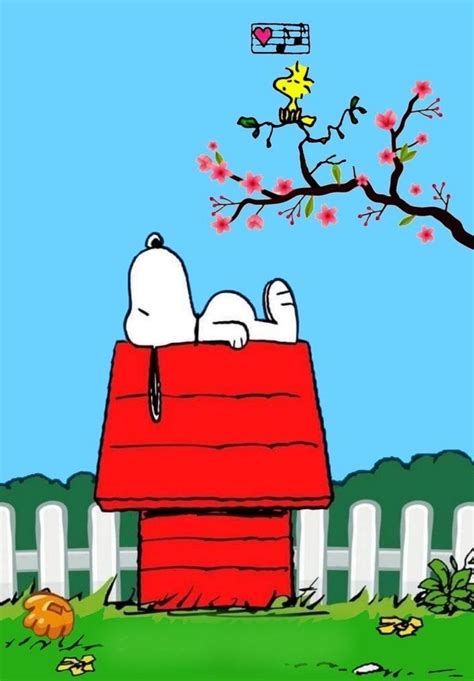 Pin By Capitaine Weskear On Snoopy Snoopy Wallpaper Snoopy Images