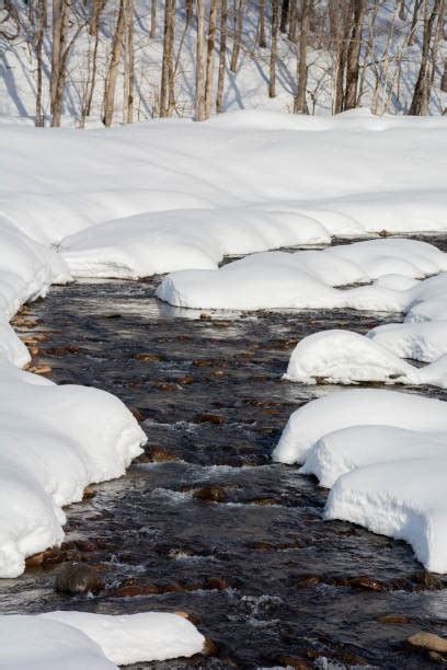 640点を超える北海道 雪解けのストックフォト、写真、そしてロイヤリティフリーの画像 Istock