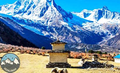 Manaslu Circuit Trek Blog For Short Manaslu Circuit Trek For Days