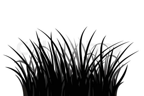 Grass Silhouette Stock Vector Colourbox