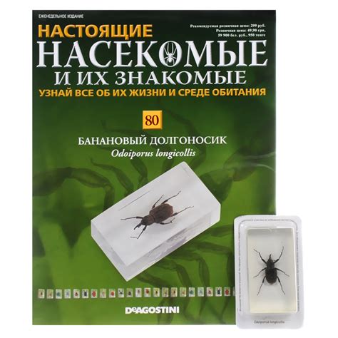 Журнал "Насекомые и их знакомые" №80 — купить в интернет-магазине OZON ...