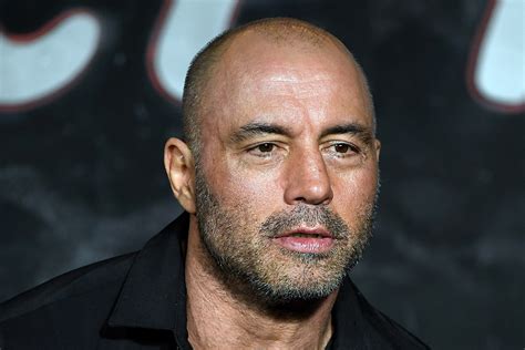 Viral Joe Rogan Podcast Joke Divides Internet Newsweek