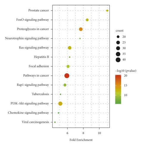 Enrichment Analysis Of Kegg Pathway Of The Top Key Targets