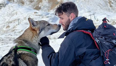 Carlo Costa Io Depresso E Malato Grave Di Covid Grazie Al Mio Cane