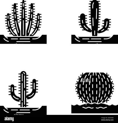 Wild Cacti In Ground Glyph Icons Set Succulents Spiny Plants Barrel