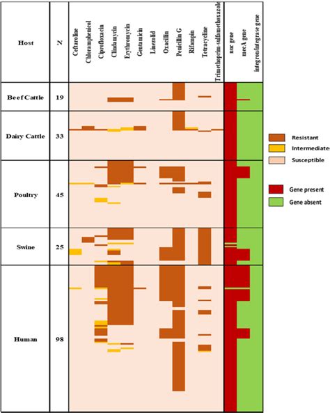 Antimicrobial Resistance Patterns Of S Aureus With Gene Download