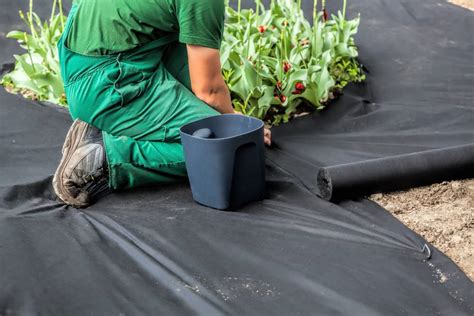 7 Best Weed Barriers Of 2023 Top Landscape Fabric Reviews