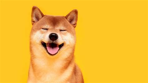 The Next Shiba Inu? 7 Meme Coins to Keep on Your Crypto Radar ...