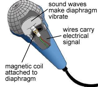 Inside Of Dynamic Mic