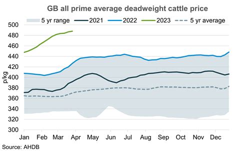 Projected Cattle Prices For 2024 Prue Ursala