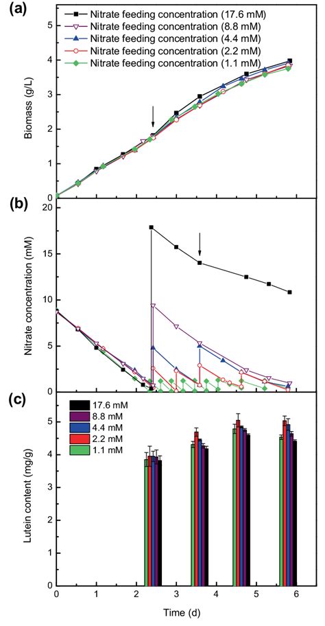 Time Course Profiles Of A Biomass Concentration B Nitrate