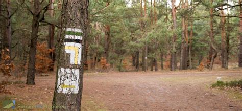 Spacer przez rezerwat Sokole Góry na Górę Biakło