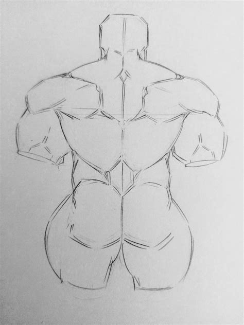 Fornacatto On Twitter I Forgot How To Draw Backs Help