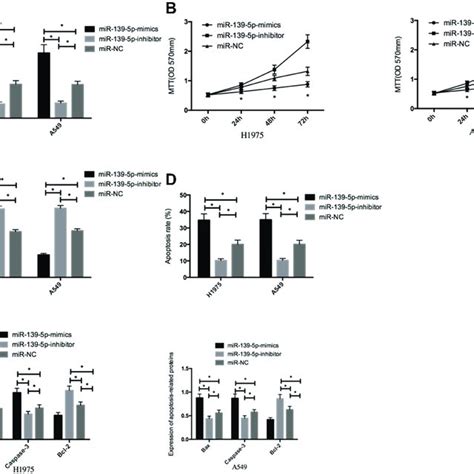 Effects Of Mir 139 5p On Proliferation Invasion And Apoptosis Of Download Scientific Diagram