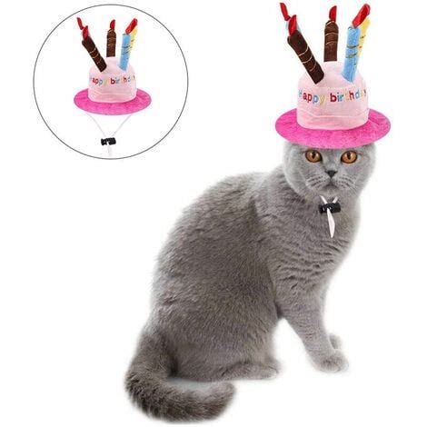 Chapeau D Anniversaire Pour Animaux De Compagnie Chapeau De Chien En