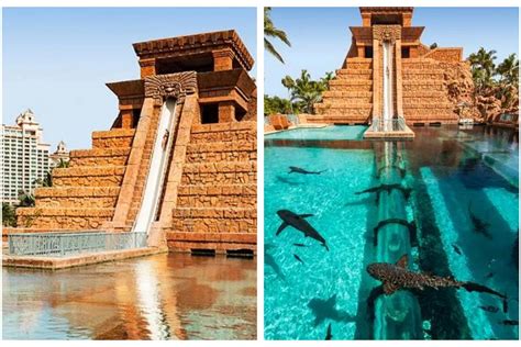 Parque Acu Tico Colombiano Est Entre Los M S Visitados De Am Rica Latina Cu Nto Cuesta Ir Y