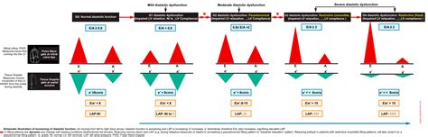 Diastology A Practical Approach To Diagnosis Of Heart Failure With Preserved Ejection Fraction