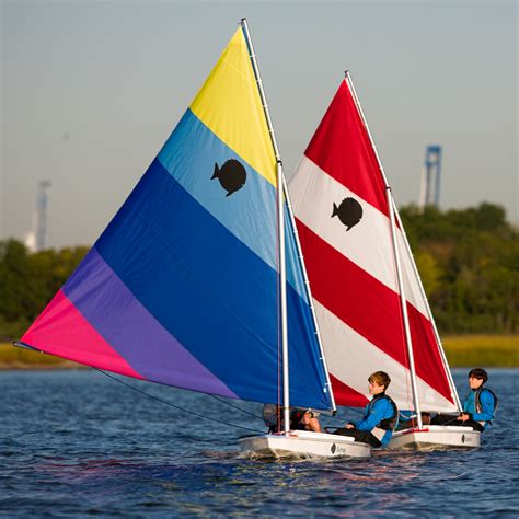 Laser Sunfish Most Popular Recreational Sailboat Ever Built