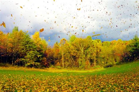 Der Erste Herbststurm Kommt