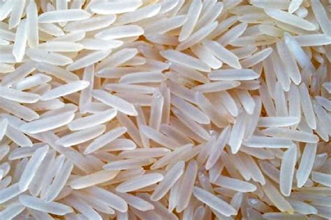 Amoli International In Delhi Exporter Of Non Basmati Rice Pusa