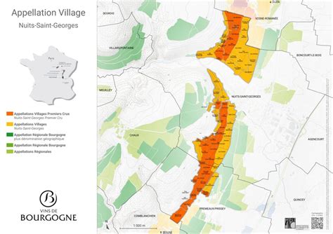 Nuits Saint Georges Vins De Bourgogne