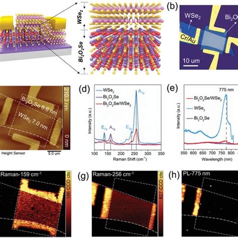 Characterization Of WSe2 Bi2O2Se Heterostructure A Schematics