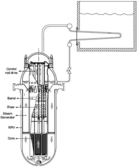 Carem Primary System And Passive Residual Heat Removal System