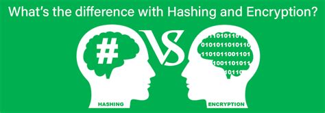 Encryption Vs Hashing Whats The Difference Ssltrust