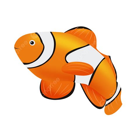 Clipart Poisson Clown Océan Png Orange Poisson Marin Style De Bande