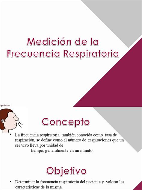 Frecuencia Respiratoria Pdf Sistema Respiratorio Pulmón